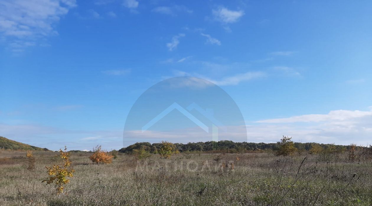 офис г Новороссийск ст-ца Натухаевская ул Гостагаевская фото 4