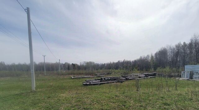 земля с Горьковка фото