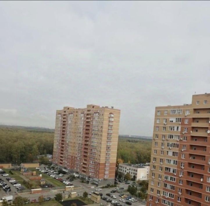 квартира г Видное ул Ольховая 11 Царицыно фото 3