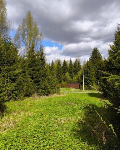 ТиНАО направление Курское (юг) ш Варшавское 46 км, р-н Бекасово, СНТ Заповедное, 29, Московская область фото
