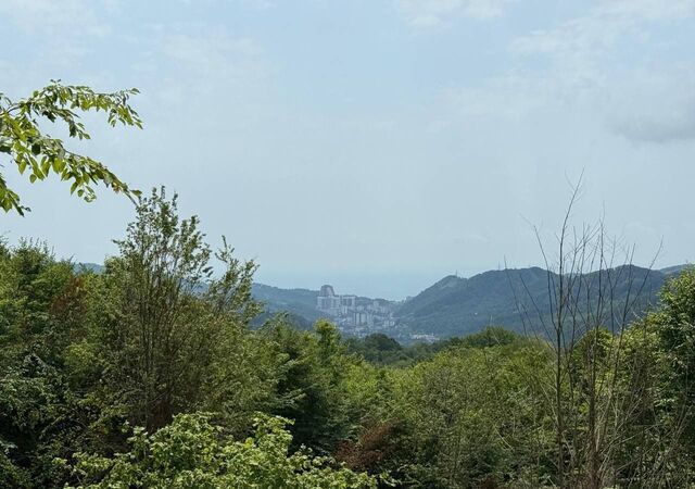 ул Братьев Аракелян фото