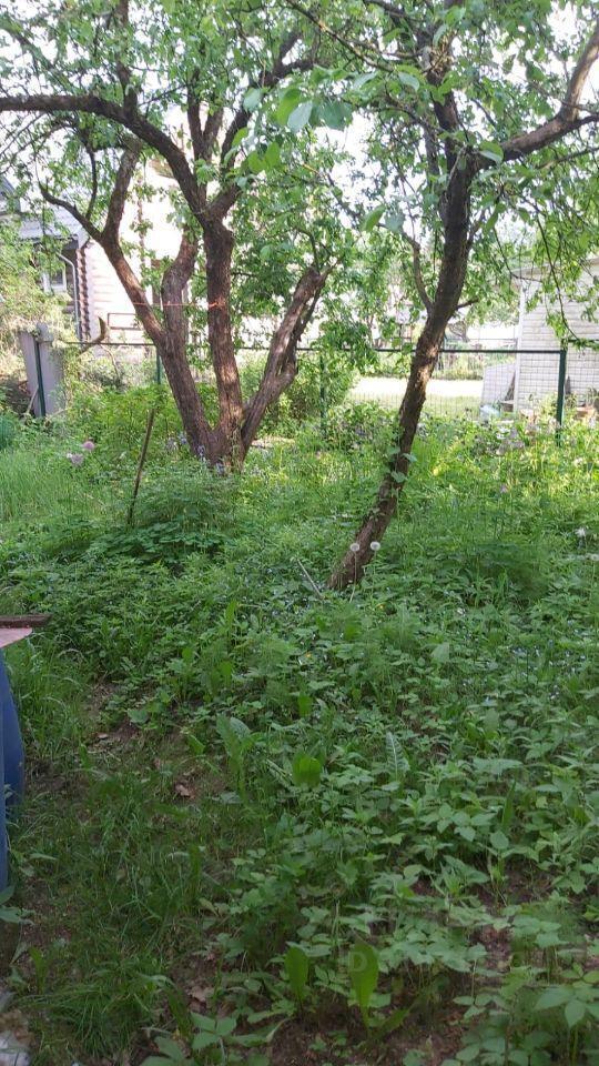дом г Зеленоград Силино ул Алабушевская 19 ЗелАО с 102А, Московская область, г Пушкино, Зеленоград фото 11