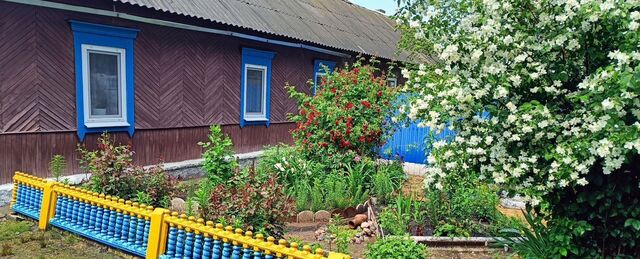ул Хлебная 4 Новозыбковский г. о. фото