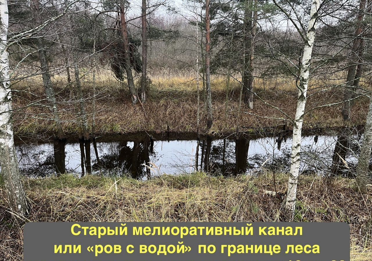 земля городской округ Богородский г Ногинск 51 км, коттеджный пос. Следово, 26, Щёлковское шоссе фото 8