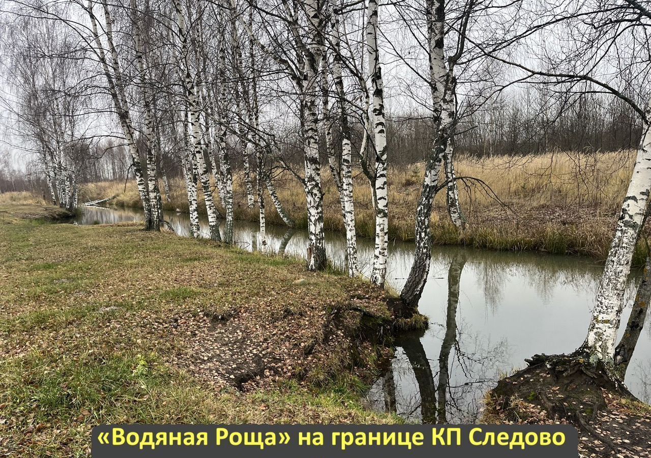 земля городской округ Богородский г Ногинск 51 км, коттеджный пос. Следово, 26, Щёлковское шоссе фото 9