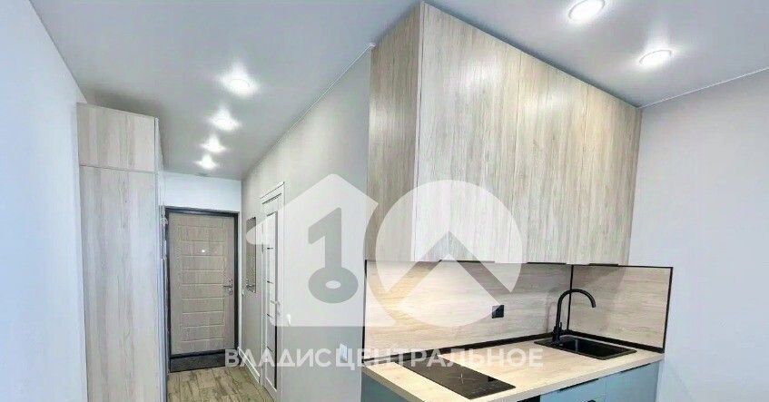 квартира г Новосибирск ул Виктора Уса 7 Площадь Маркса фото 4