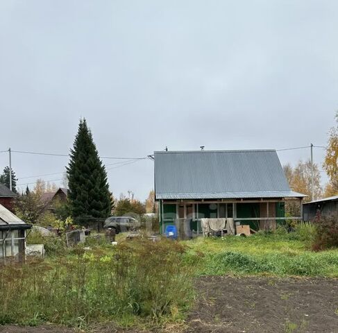 снт Витамин садово-огороднический кооператив фото