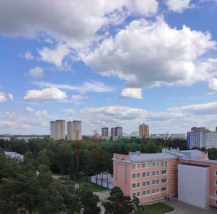 квартира г Новосибирск Заельцовская ул Залесского 8/1 фото 13