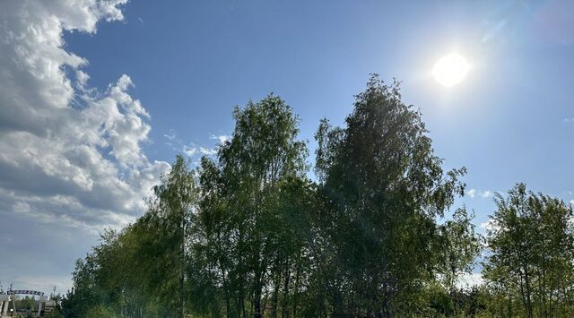 ул Театральная 1-я Айдаровское с/пос, Колизей кп фото