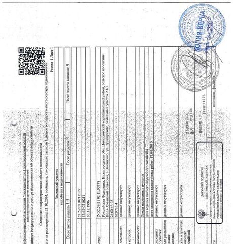 р-н Починковский с Вьюшкино ул Луначарского фото