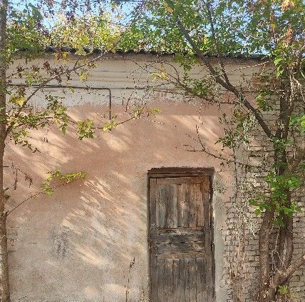 свободного назначения фото