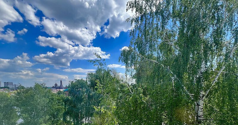 квартира г Тольятти 127-й квартал б-р 50 лет Октября 8 м-н фото 11