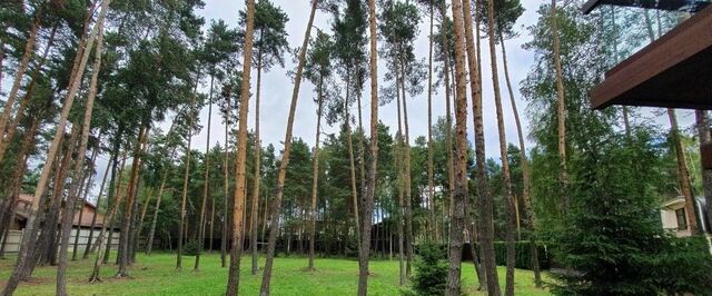 земля д Поздняково Никольская Слобода кп, Аникеевка фото