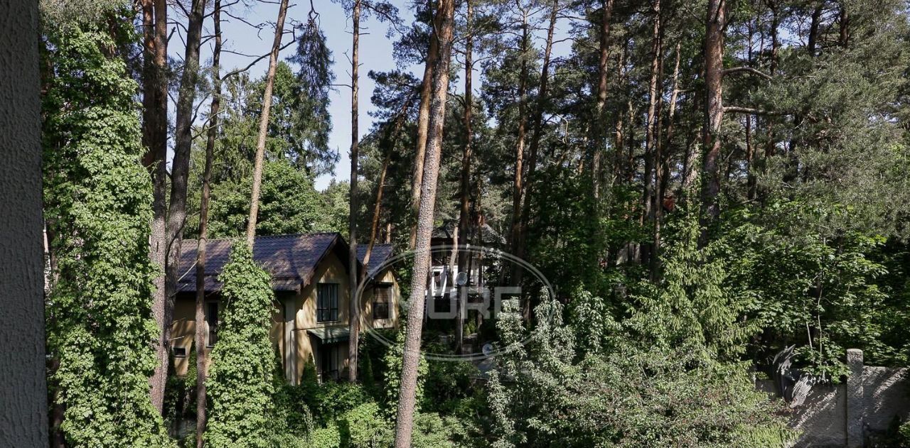 дом р-н Светлогорский г Светлогорск ул Маяковского 16 фото 41