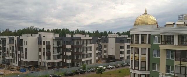 Проспект Просвещения фото