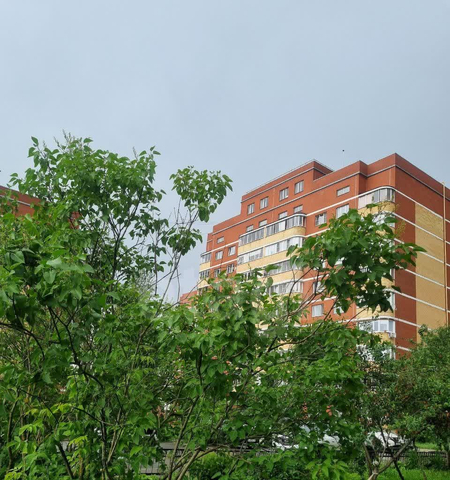 ул Пролетарская 42б фото