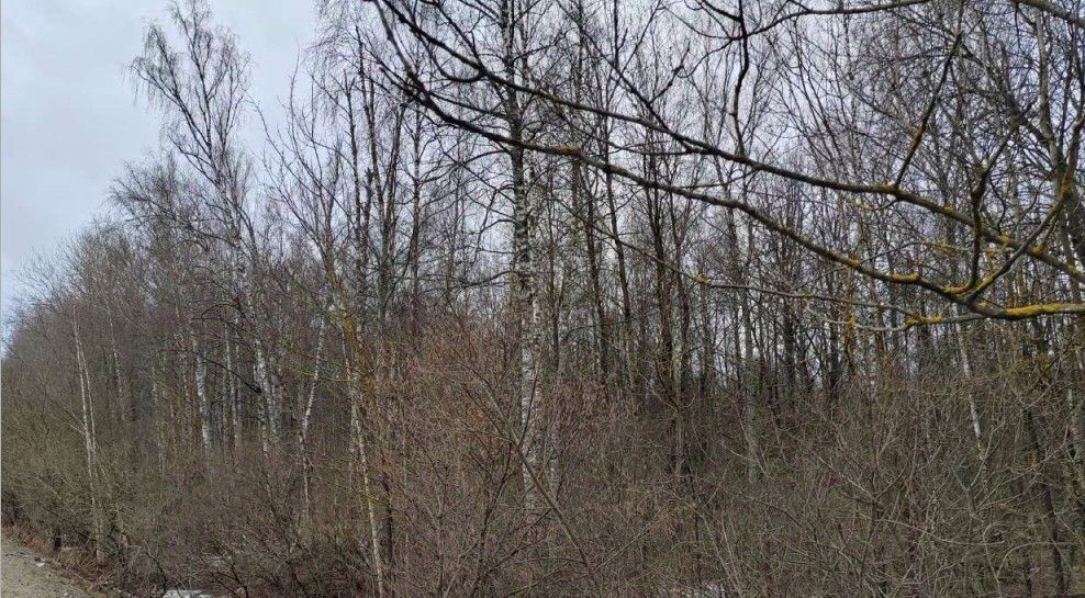 офис г Чехов фото 1