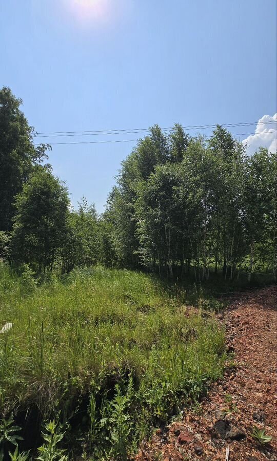 земля г Копейск п Заозерный Копейский г. о., Вишнёвая ул., 1 фото 7