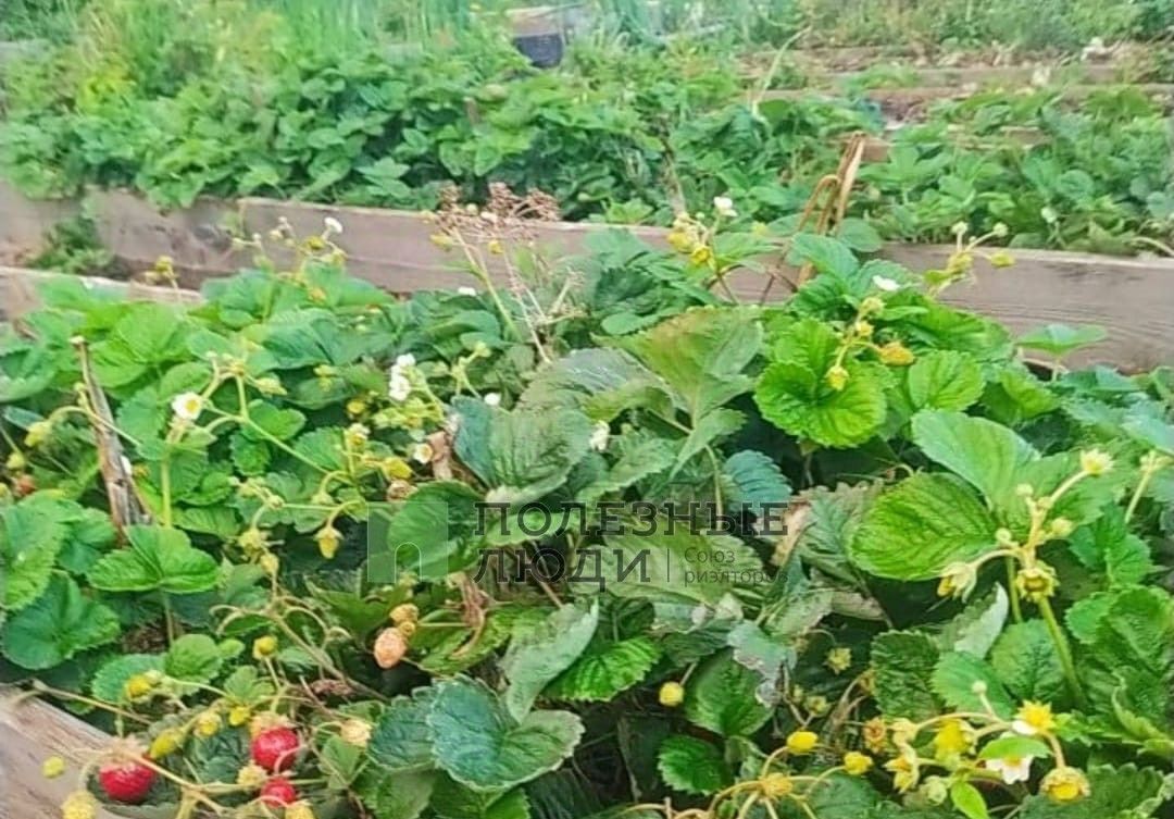 дом г Барнаул с Гоньба ул Барнаульская фото 1
