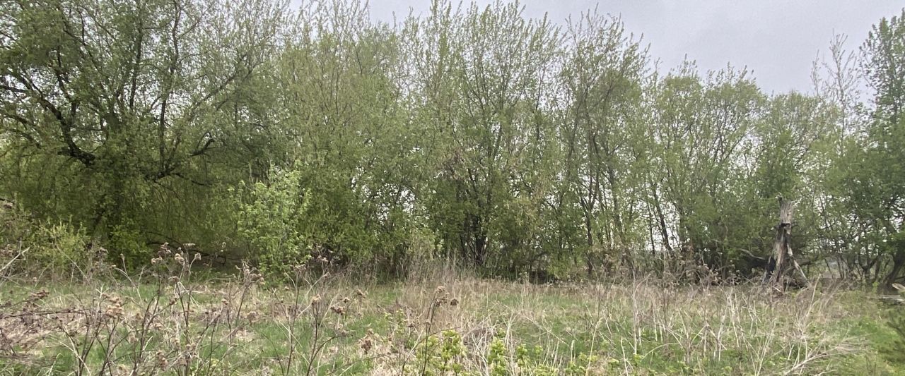 земля г Кашира п Большое Руново фото 1