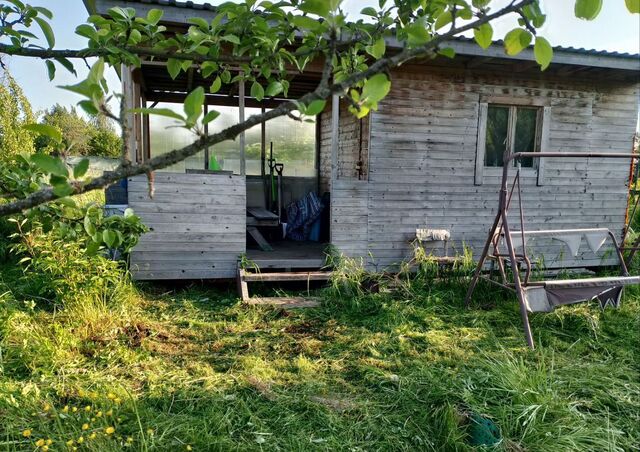 тер Луизино р-н Петродворцовый фото