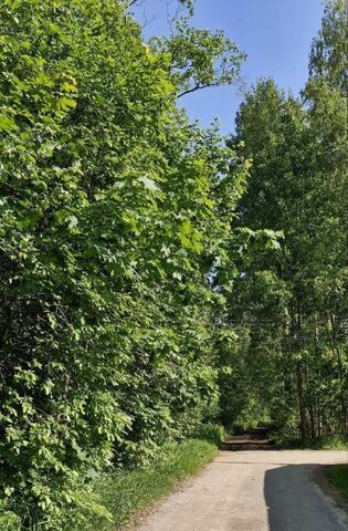 земля д Савочкино Бугровское городское поселение, Парнас, 30 фото
