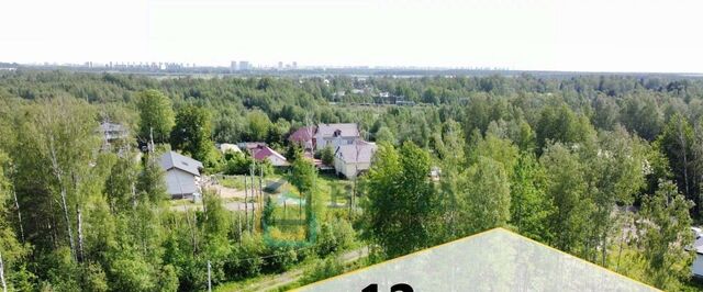 п Парголово метро Парнас Осиновая Роща исторический район фото
