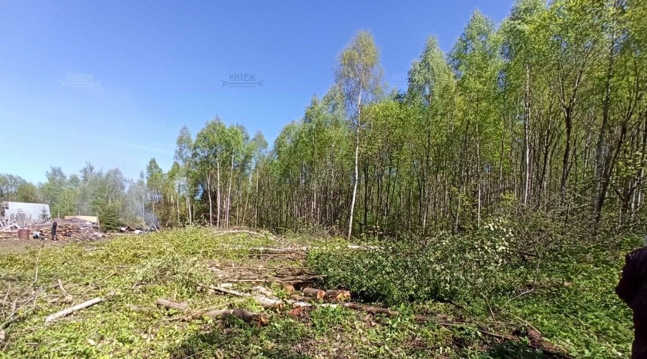 земля г Калуга д Косарево фото 2