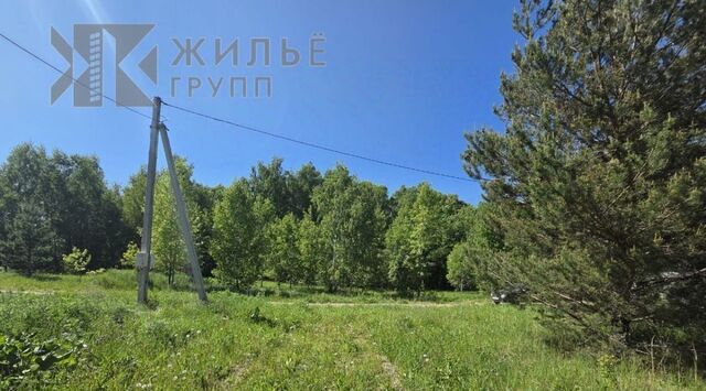 земля Дубравная ул Зеленая Роща 62 фото
