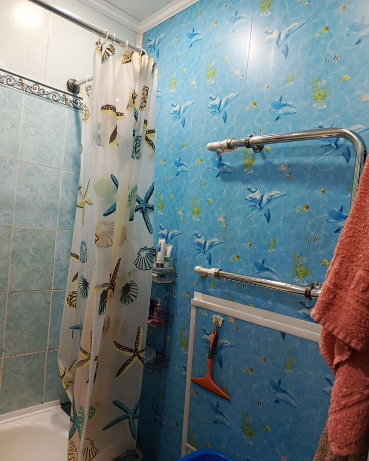 квартира г Снежинск ул Чапаева 26 фото 8