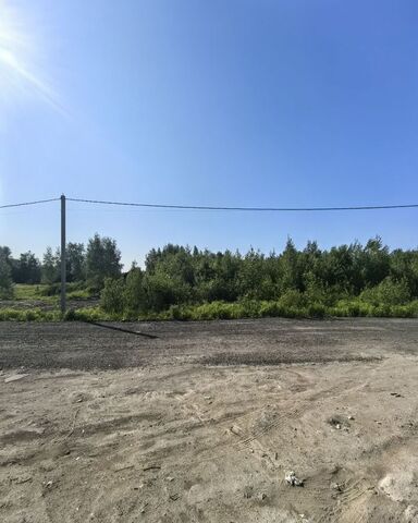 земля п Ковалево Дорога жизни, 2 км, Всеволожское городское поселение, Санкт-Петербург фото