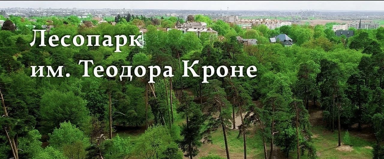 квартира г Калининград р-н Центральный ул Сержанта Мишина 1 фото 22