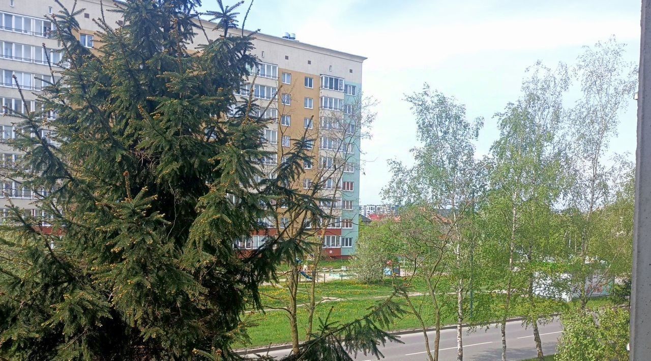 квартира г Калининград р-н Московский ул У.Громовой 105 фото 15