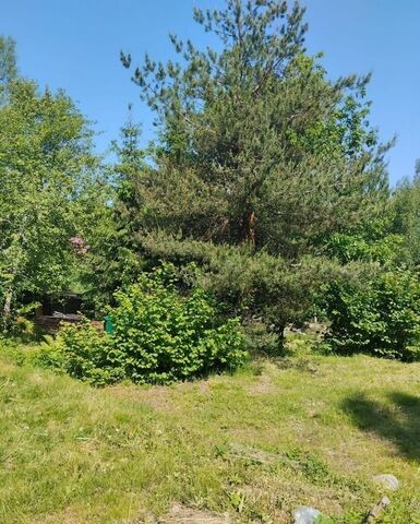 снт Микрон Трасса Сортавала, 44 км, Сосновское сельское поселение, Массив И 1, 25, Сосново фото