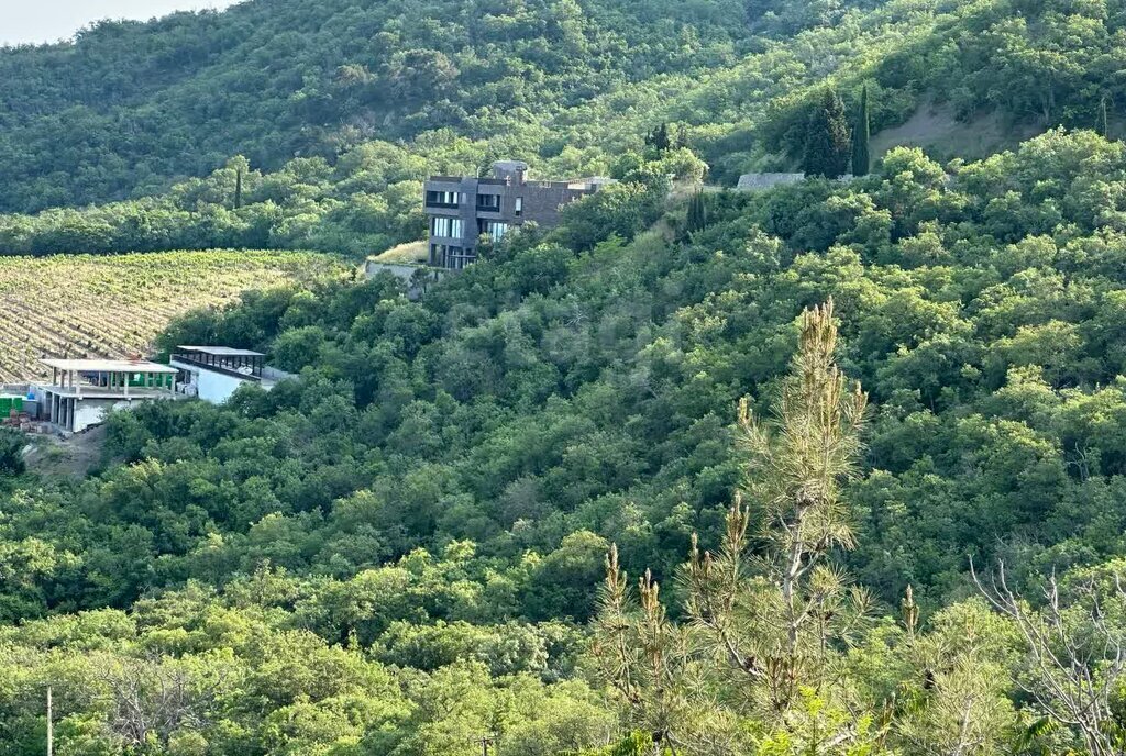 земля г Алушта с Лазурное фото 13