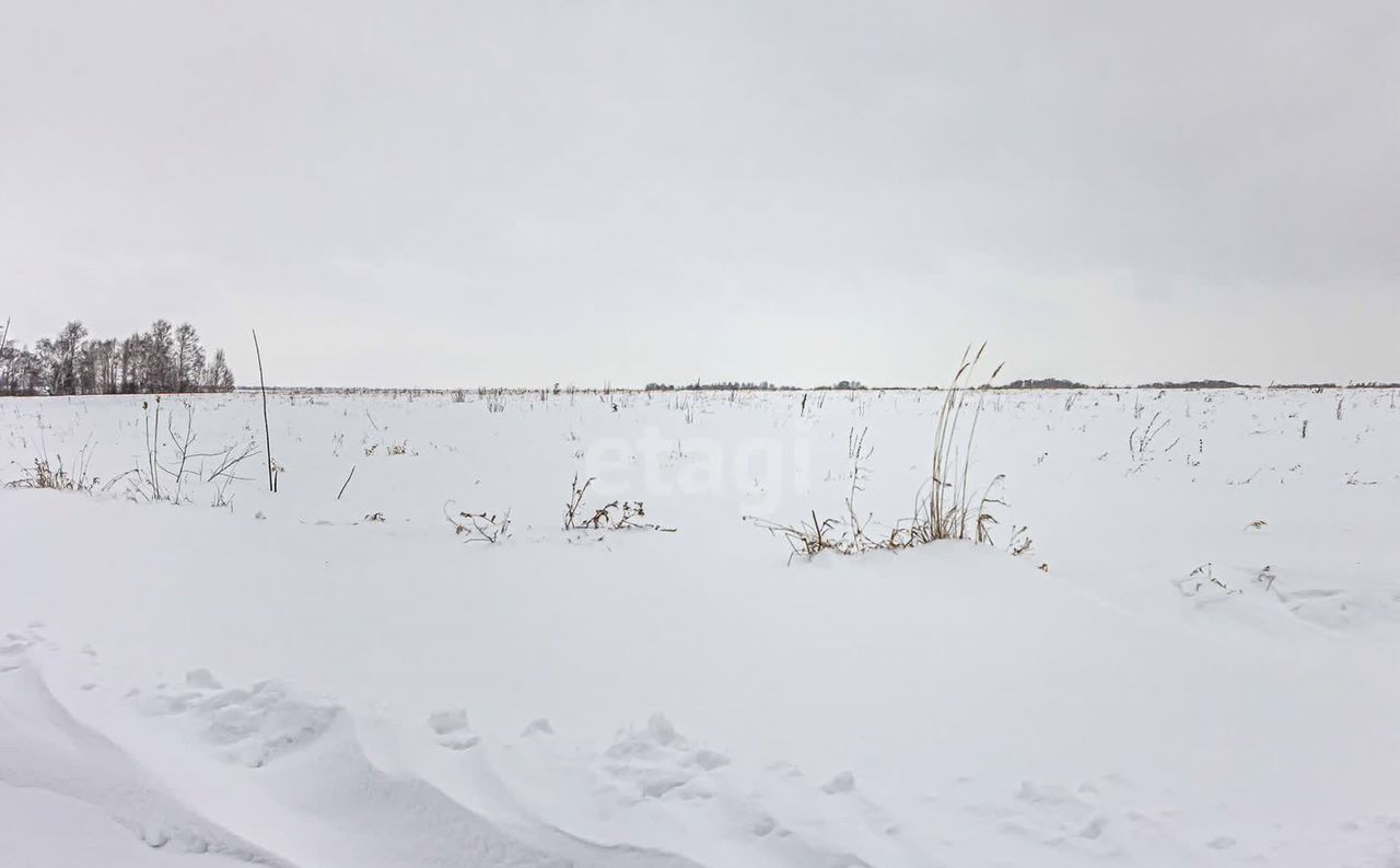 земля г Бердск ул Закатная Бердское шоссе фото 5