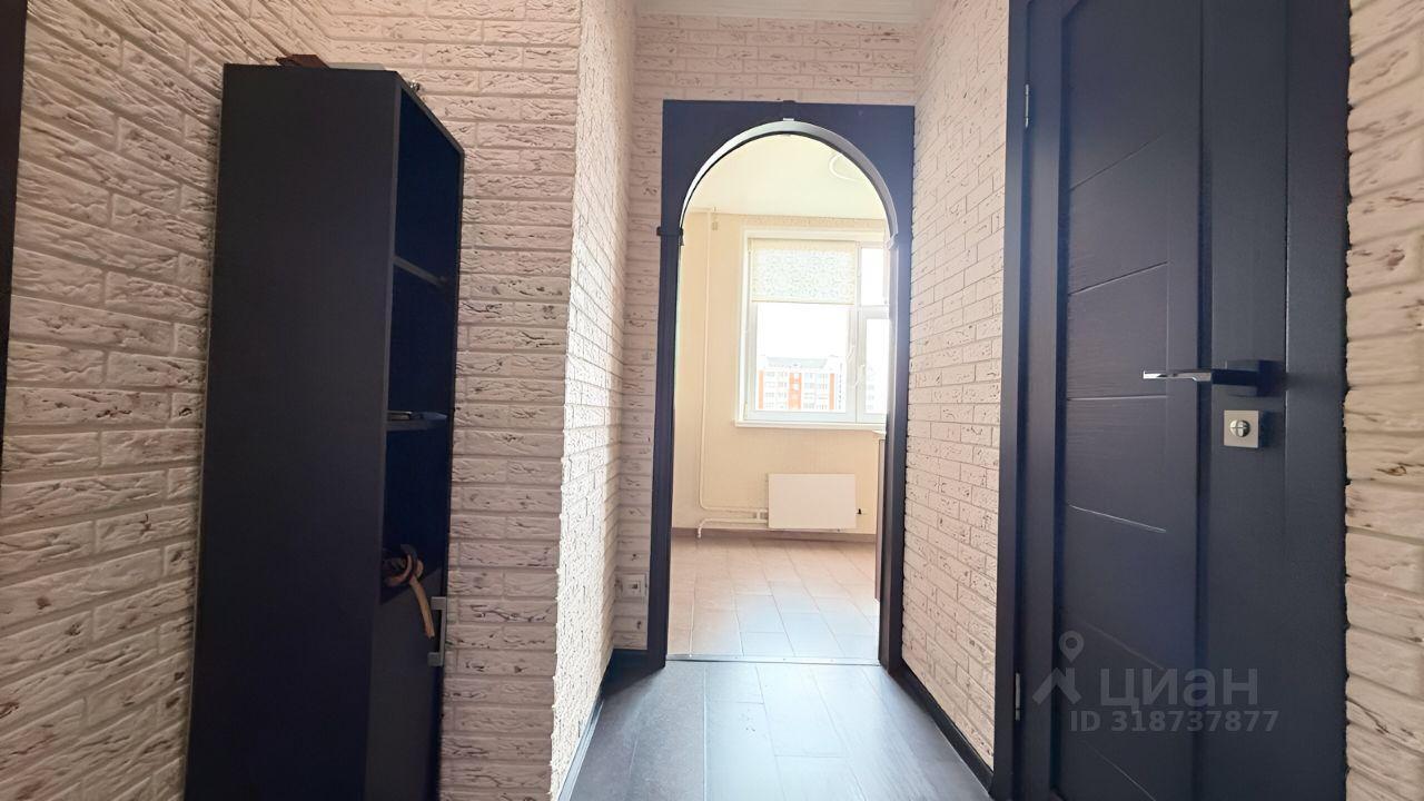 квартира г Люберцы Красная горка пр-кт Гагарина 22к/2 Люберцы фото 14