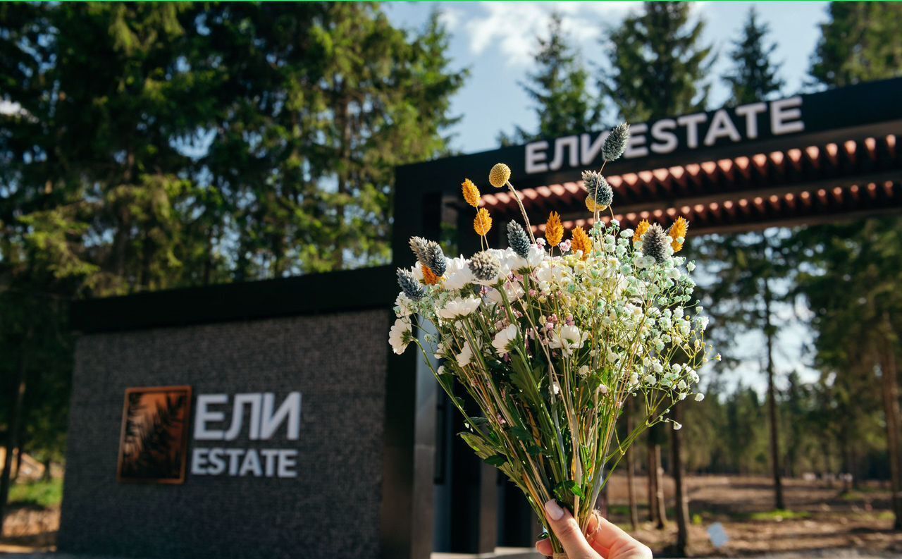 земля г Клин 54 км, эко-посёлок Ели эстейт, Новопетровское, Ленинградское шоссе фото 16
