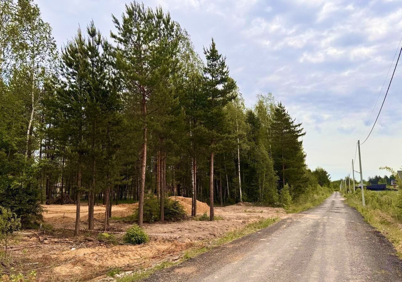 земля городской округ Богородский г Электроугли проезд 2-ой Исаковский 9 23 км, Носовихинское шоссе фото 6