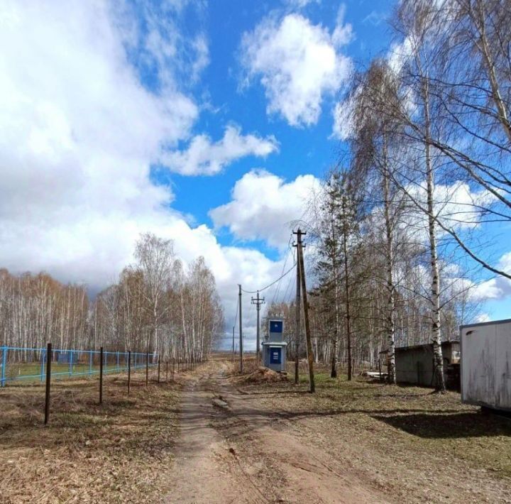 земля г Бор д. Приклонное фото 10