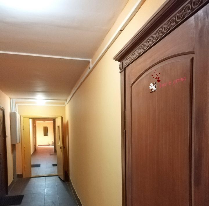 квартира г Павловск метро Купчино ул Берёзовая 27 фото 8