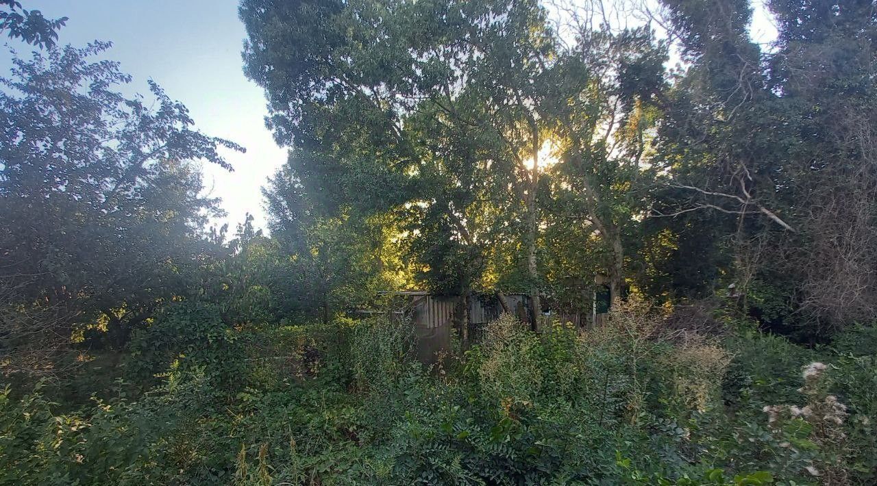 земля г Геленджик снт Геолог ул Заречная фото 2