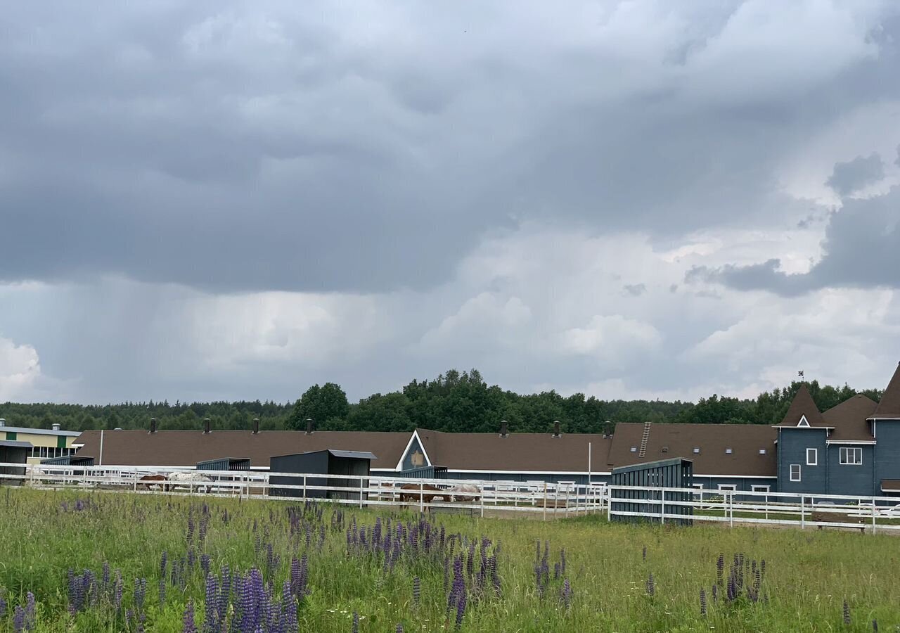 земля р-н Богородский г Богородск коттеджный пос. Владыкино фото 8