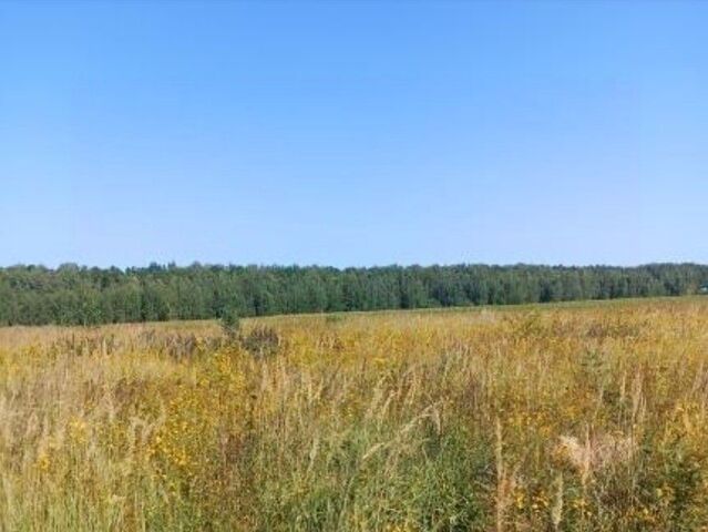 городской округ Луховицы д Чуприково снт Чуприково 118 фото