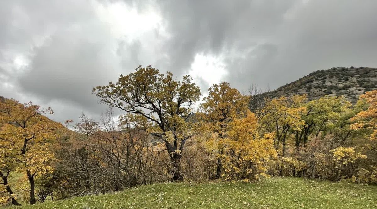 земля г Судак кв-л Долина роз КСП фото 8