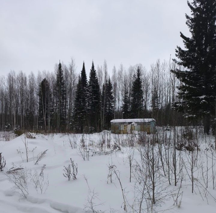 земля г Ханты-Мансийск Медик СОТ, 1 фото 11