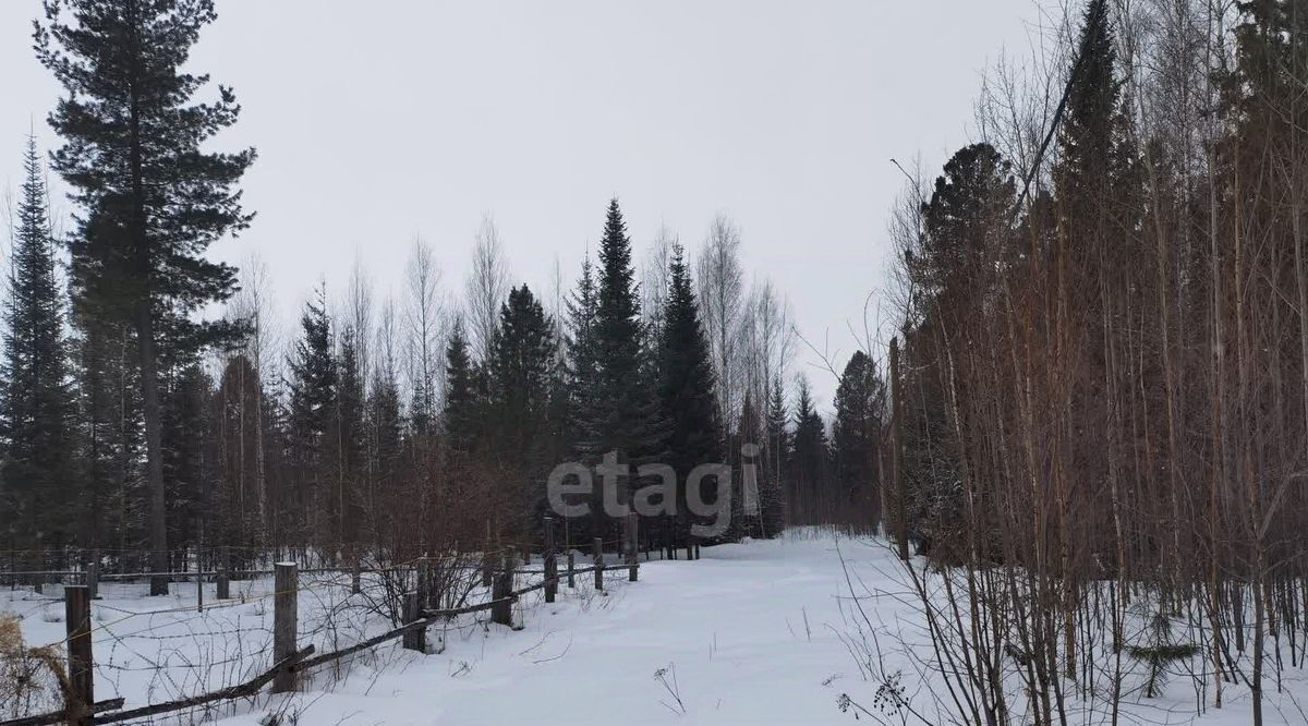 земля г Ханты-Мансийск снт Дорожник-2 СОТ фото 6