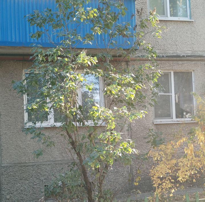 квартира г Елец ул Новолипецкая 3а фото 21