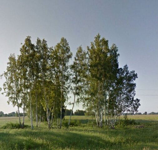 Ярковский сельсовет, Верх-Тула фото