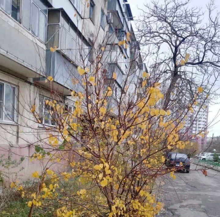 квартира г Новороссийск р-н Приморский ул Герцена 7 фото 10